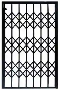 عکس حفاظ آکاردئونی