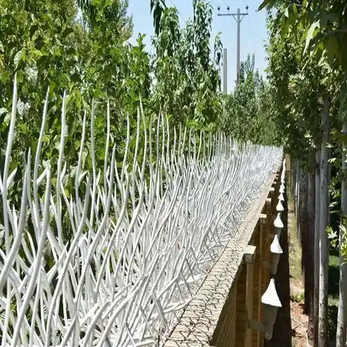 حفاظ بوته ای