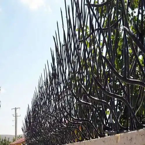 نرده خاردار دیواری