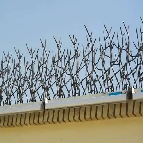 عکس حفاظ بوته ای