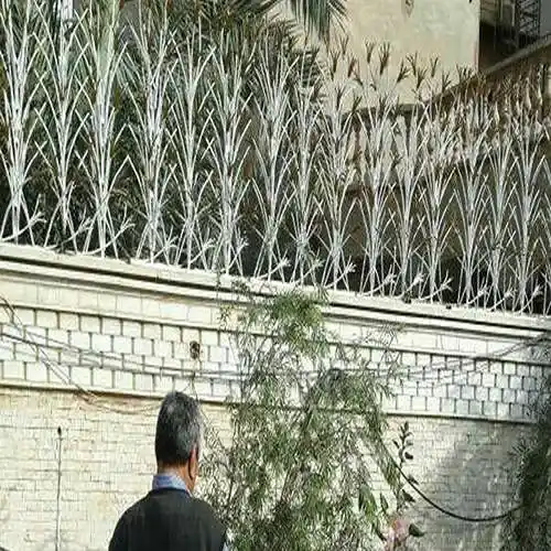 حفاظ لیلیوم مدرن و شیک