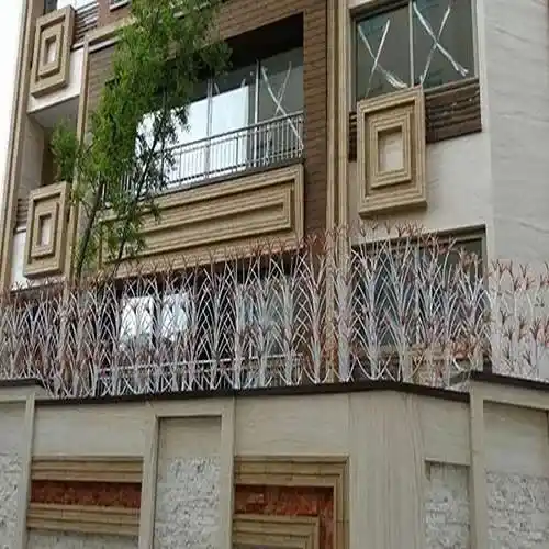 حفاظ لیلیوم سلطنتی