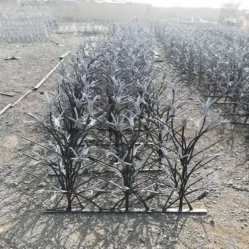 حفاظ نخل مرداب