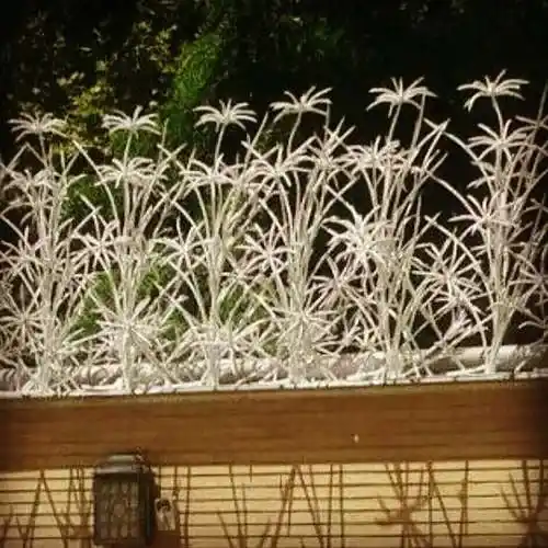 حفاظ نخل مرداب برای روی دیوار