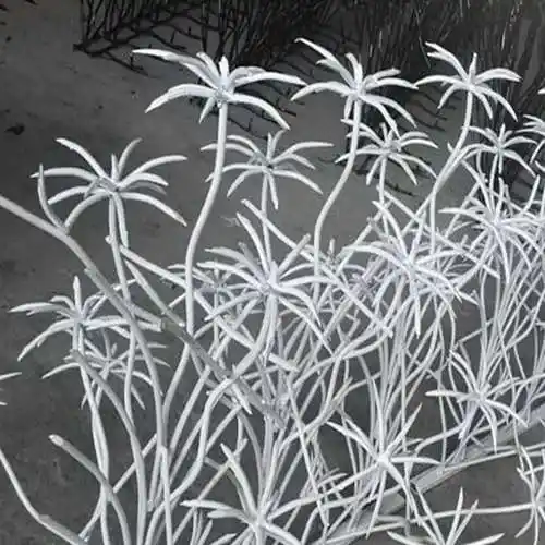 حفاظ دیواری نخل