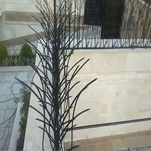 عکس حفاظ نیزار