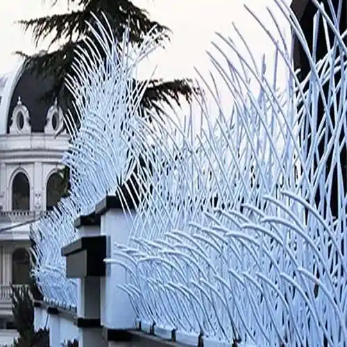 حفاظ روی دیوار طرح نیزار