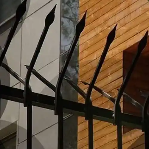 حفاظ سرخم نیزه دار