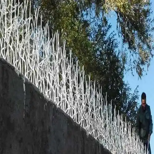 بهترین حفاظ شاخ گوزنی