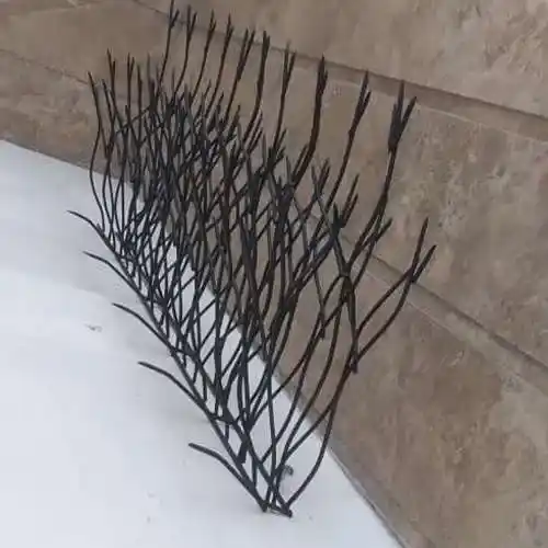 شاخ گوزنی حفاظ پر تراکم