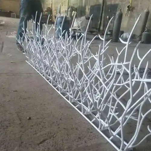 حفاظ دیوار شاخگوزنی درجه یک