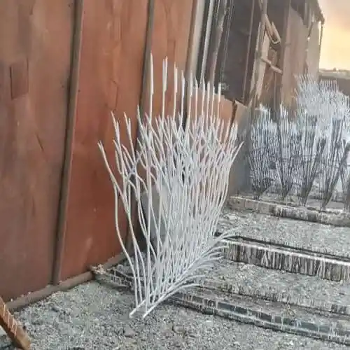 حفاظ روی دیوار درجه یک شاخگوزنی