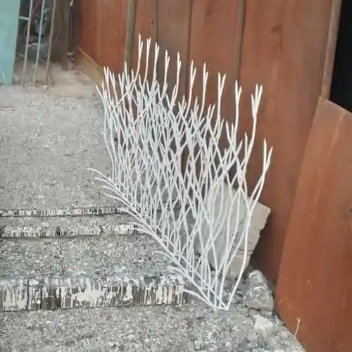 شاخ گوزنی پر تراکم