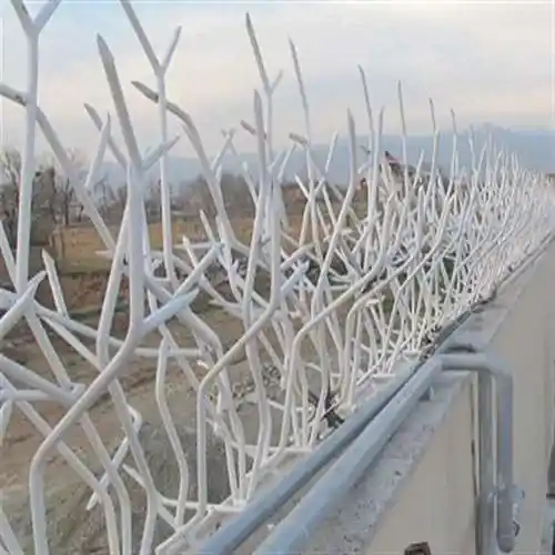 عکس حفاظ شاخ گوزنی