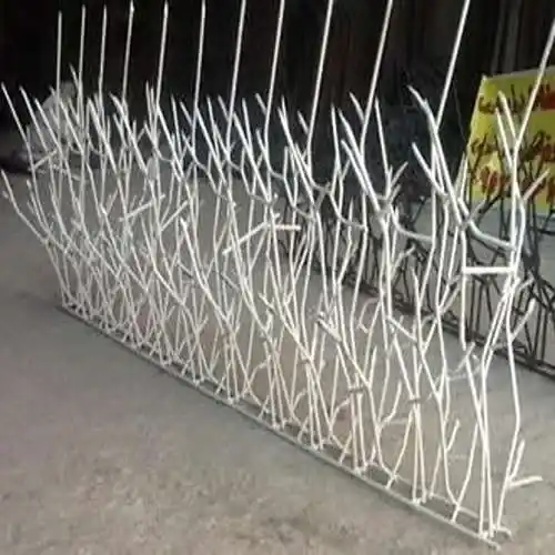 حفاظ شاخگوزنی