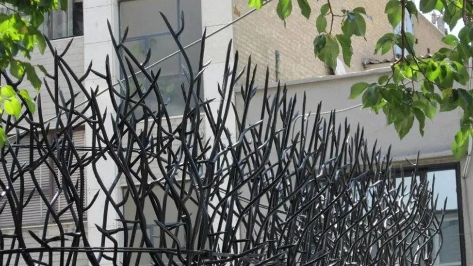 جفاظ شاخ گوزنی پر تراکم