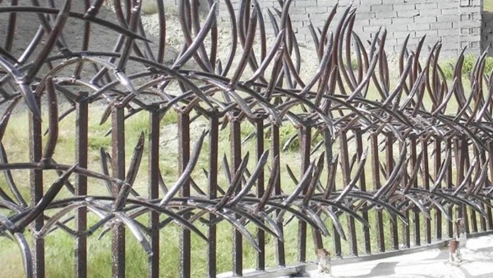 مزایای حفاظ شاخ گوزنی