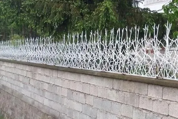 حفاظ بوته ای